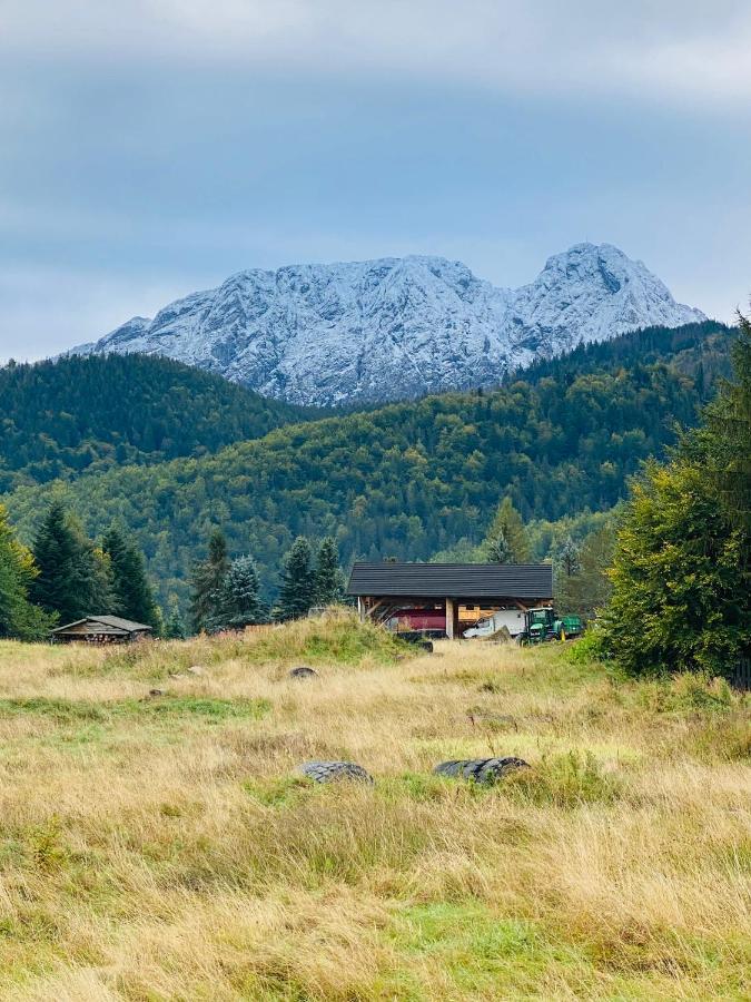 Apartament Mysliwski Zakopane Exterior foto